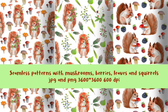 3 Seamless Patterns with Squirrels