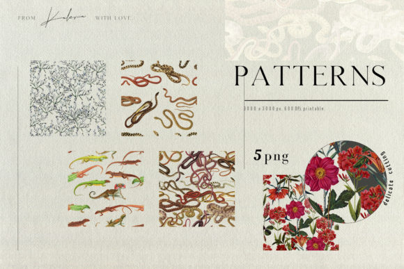 Savannah Patterns – Vintage Summer Set: What to Know Before You Buy or Use It